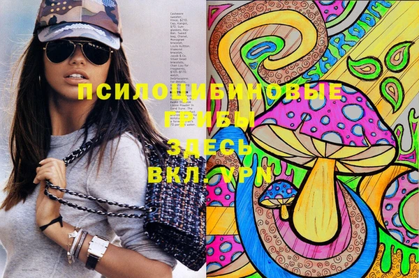 хмурый Алексеевка
