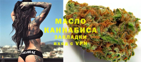 дмт Алексин