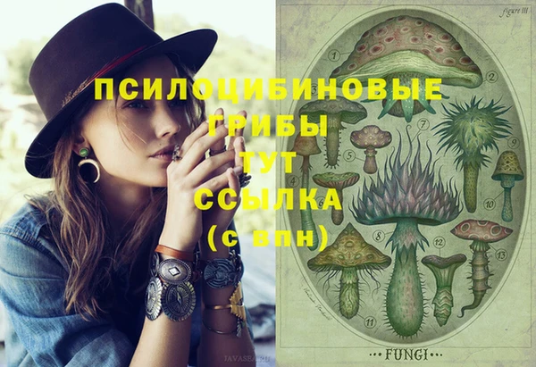 дмт Алексин