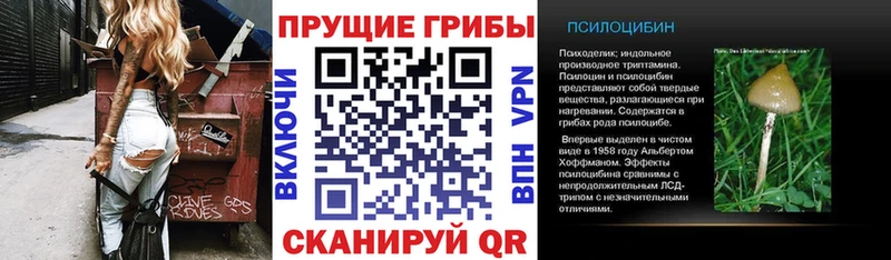 Псилоцибиновые грибы мухоморы Миасс